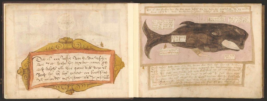whale-book-coenensz-adriaen-p9.jpg
